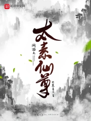 衣香鬓影三部曲txt百度云